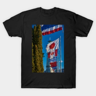 Flag parade T-Shirt